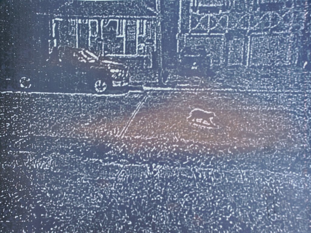 Capricorn (cold open)